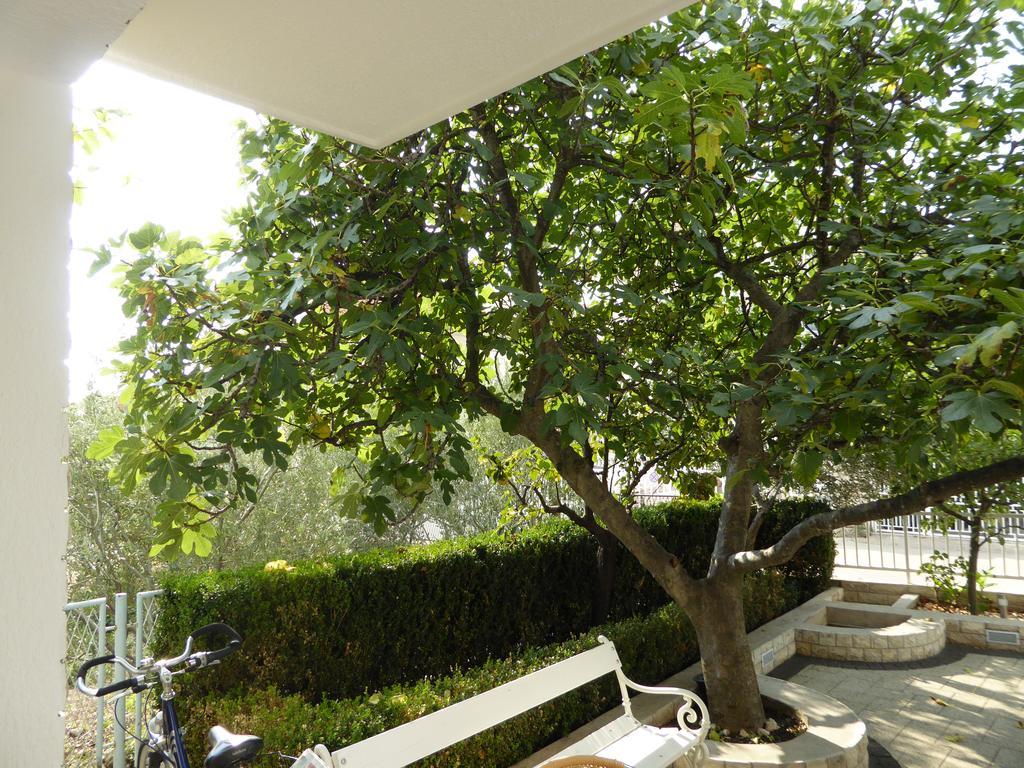 Apartments Bojanic فوديس المظهر الخارجي الصورة