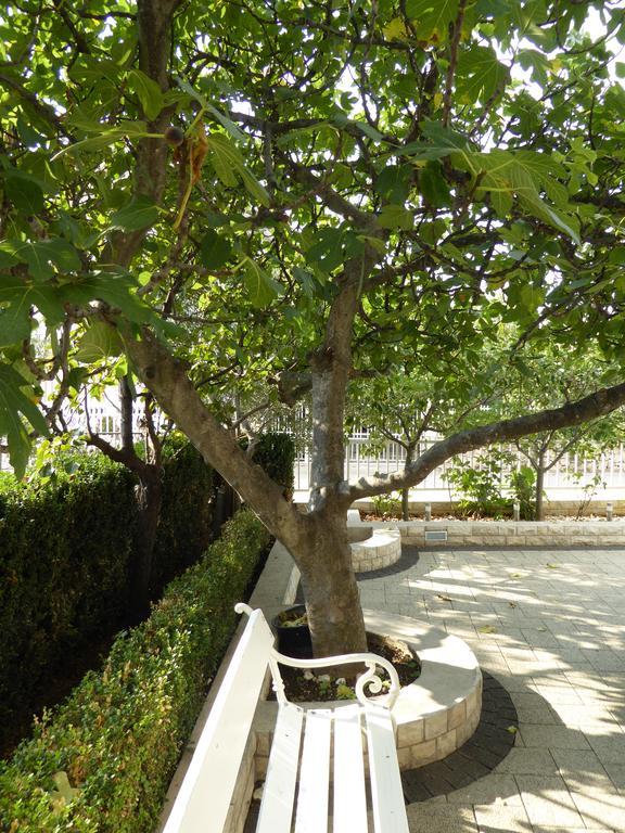 Apartments Bojanic فوديس المظهر الخارجي الصورة