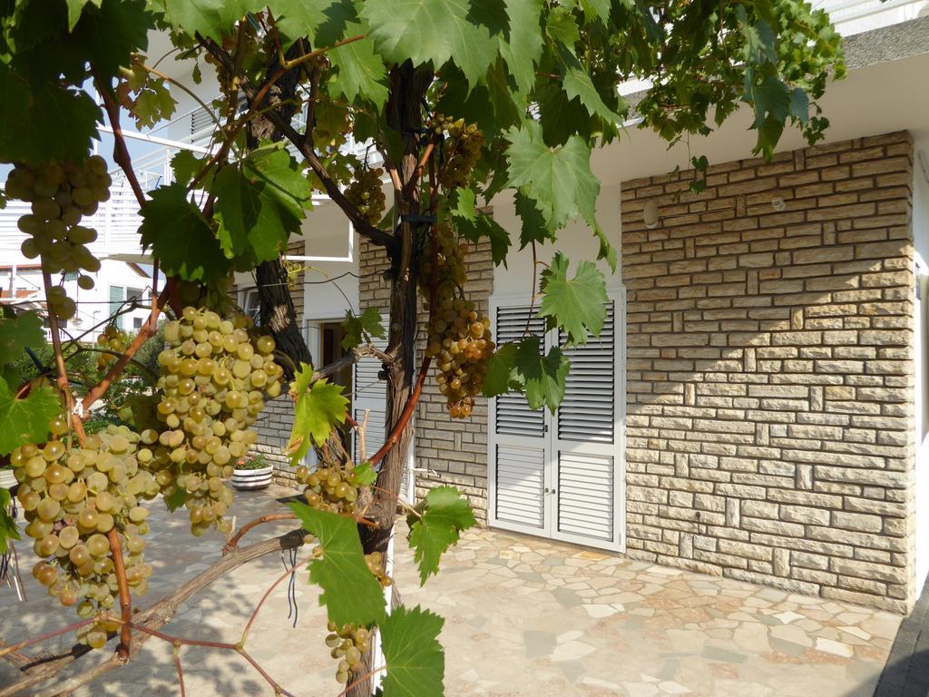 Apartments Bojanic فوديس المظهر الخارجي الصورة